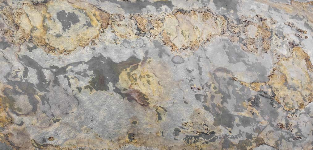 Skin Rock 6