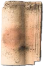 ARENA OCRE