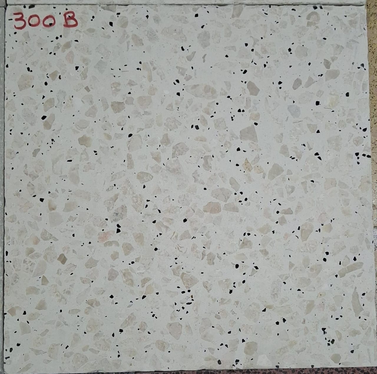 Terrazo 3